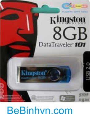USB Kingston 8G