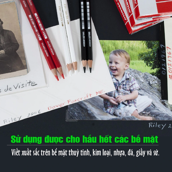 www.bebinhvn.com